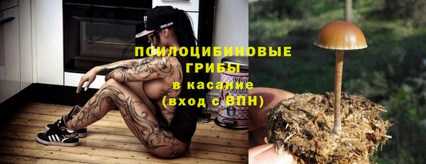 дмт Няндома