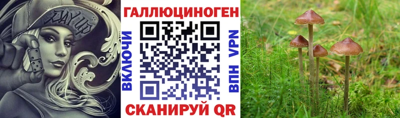 Купить  Среднеуральск  Псилоцибиновые грибы MAGIC MUSHROOMS 